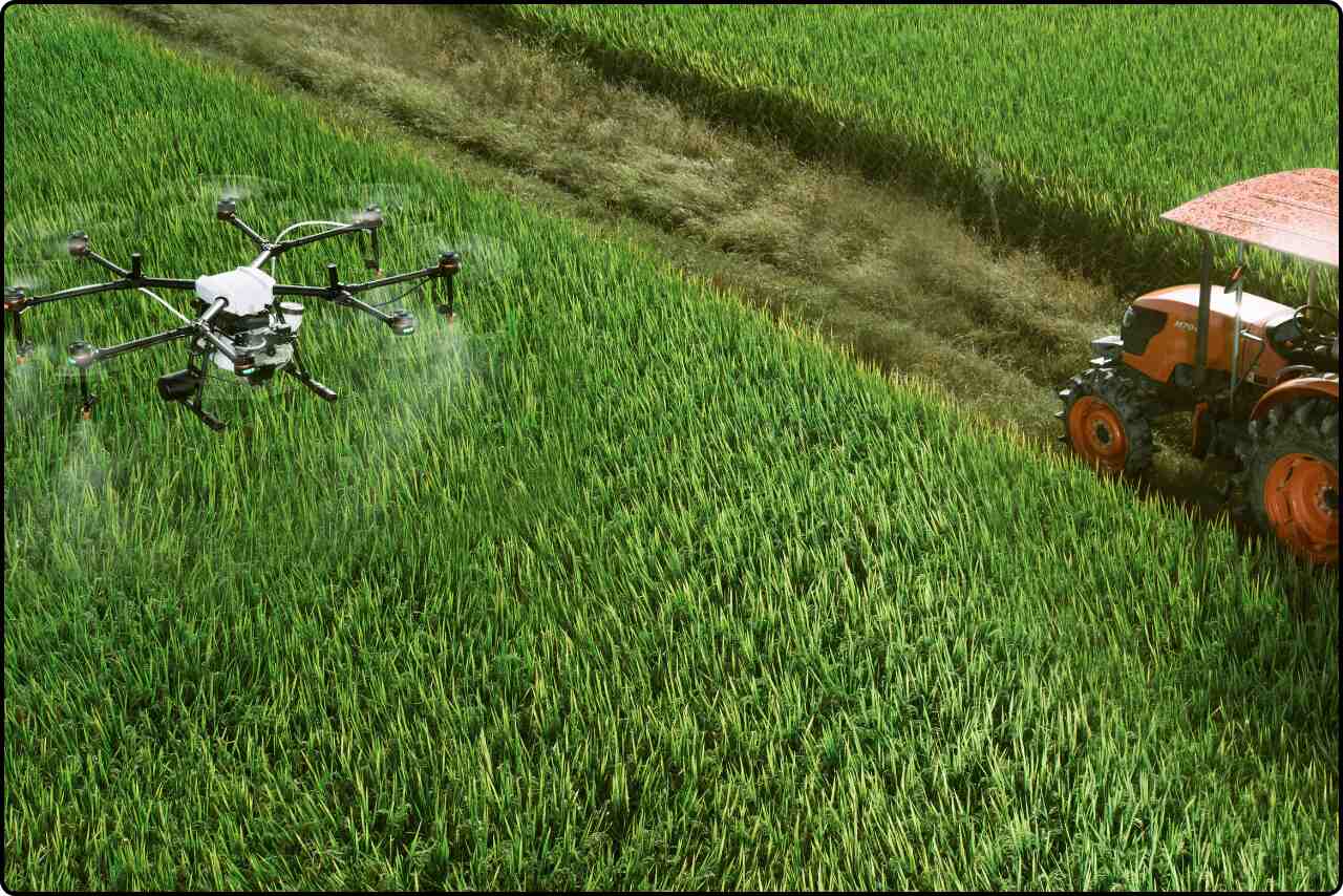 Drone flying over rows of crops, delivering nutrients or chemicals for crop health